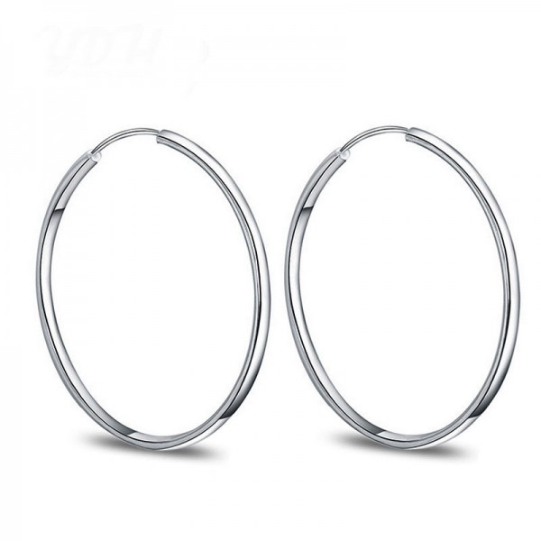 Hot Selling Classic S925 Sterling Silver Fashion Trend Circle Earrings